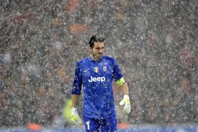 开云中国大陆-_篮网团队协作持续推进，联盟第一席位稳固_，篮网队最新签约