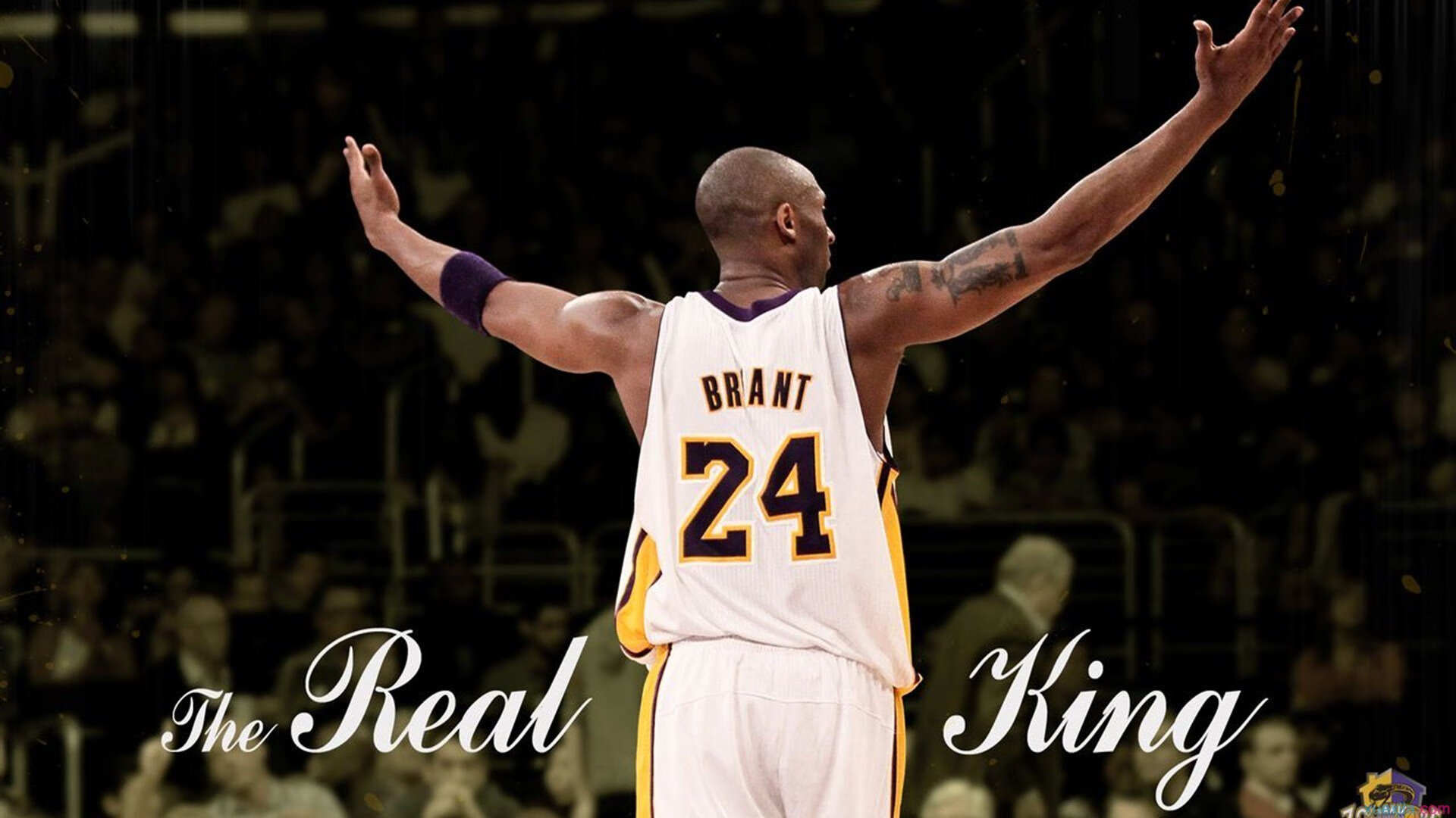 “未来之星”青少年篮球系列培训在重庆全面铺开,助推青训升级